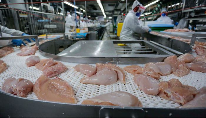 Foto: Jonathan Campos/AEN US$ 1,56 bilhão: exportação de carne do Paraná cresce 20,8% nos primeiros meses de 2025